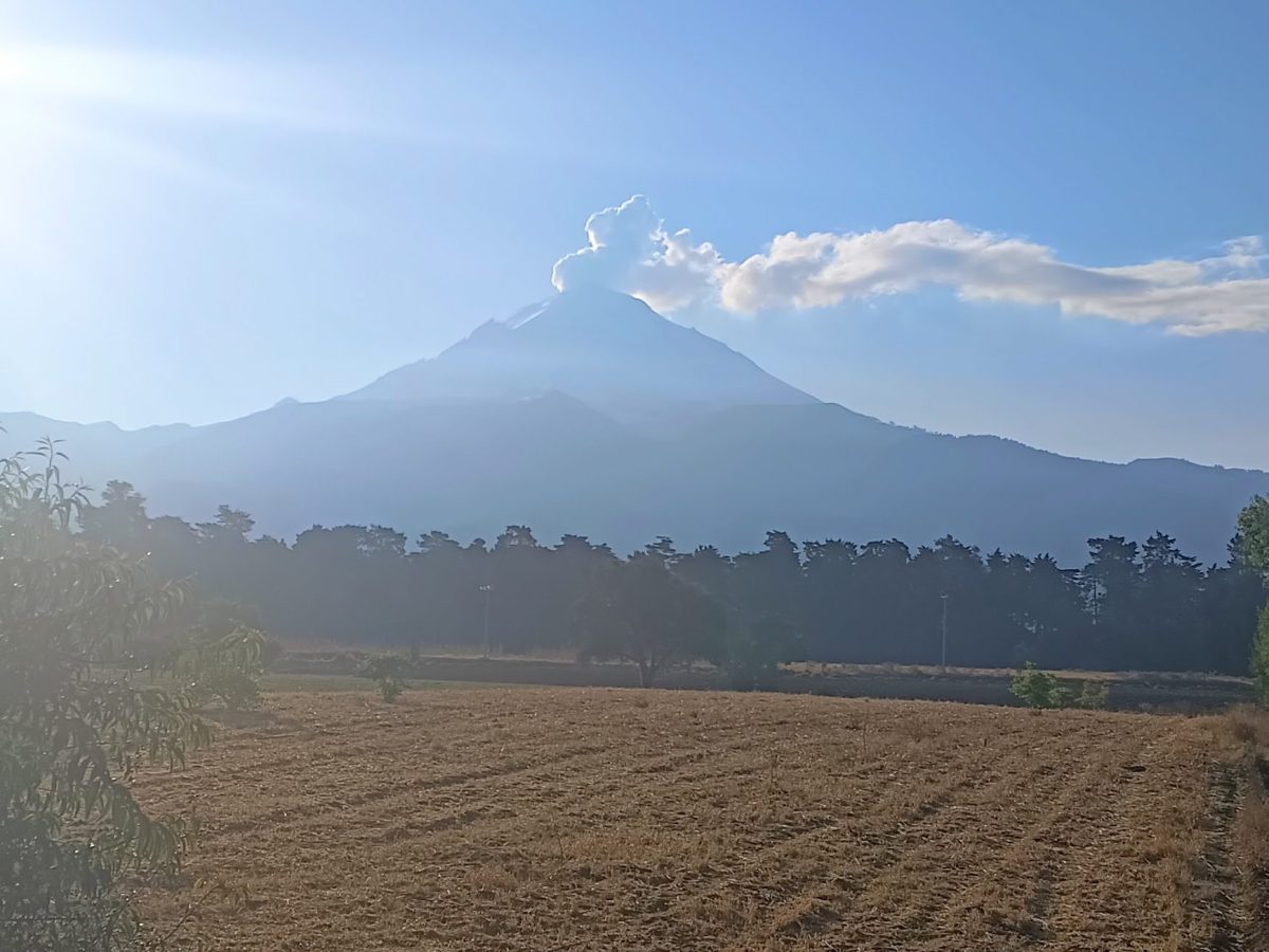 Las goteras emocionales y aceptar la imperfección de la&nbsp;vida