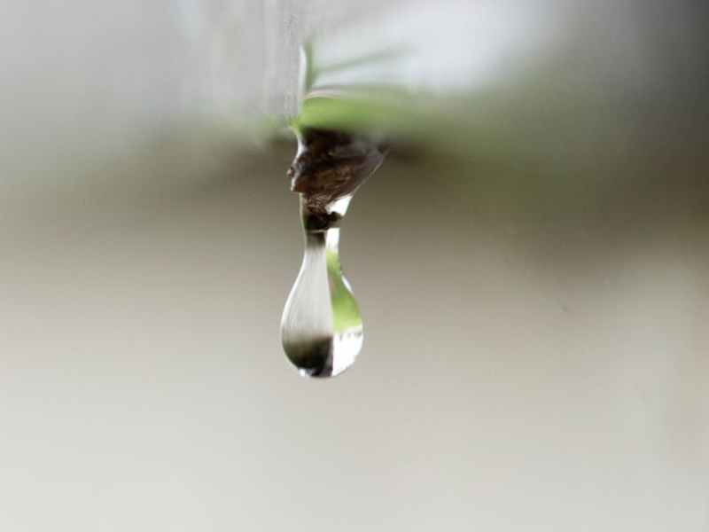 Las goteras y la imperfección de la&nbsp;vida