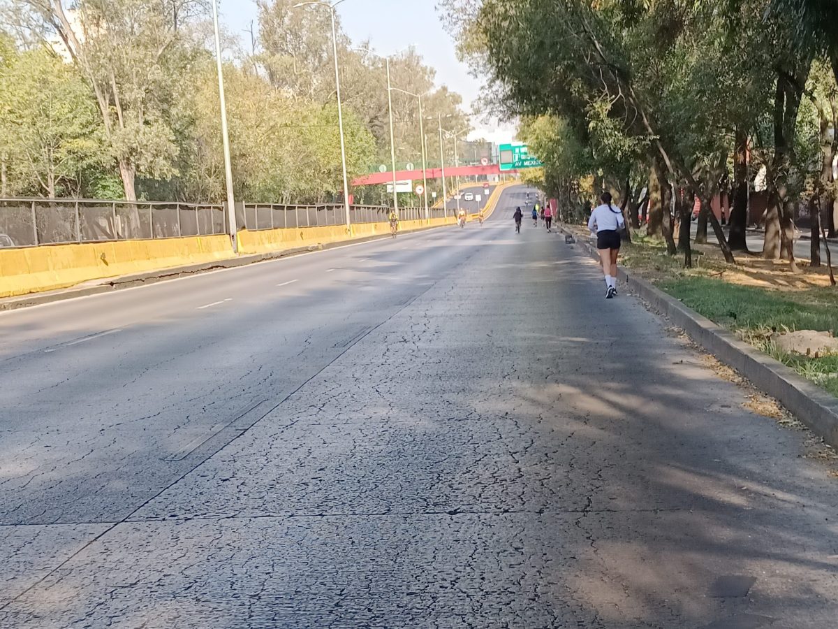 ¿Qué más se le puede pedir a un buen&nbsp;domingo?
